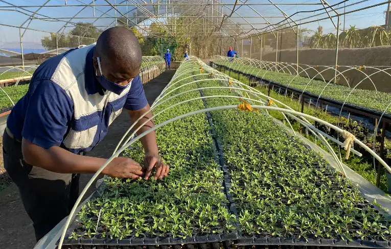 farming